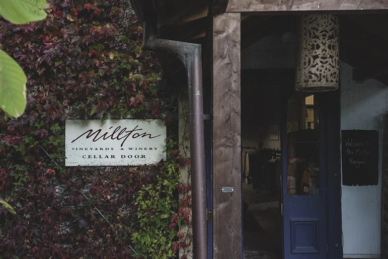Millton Vineyards cellar door in Gisborne New Zealand first organic biodynamic winery
