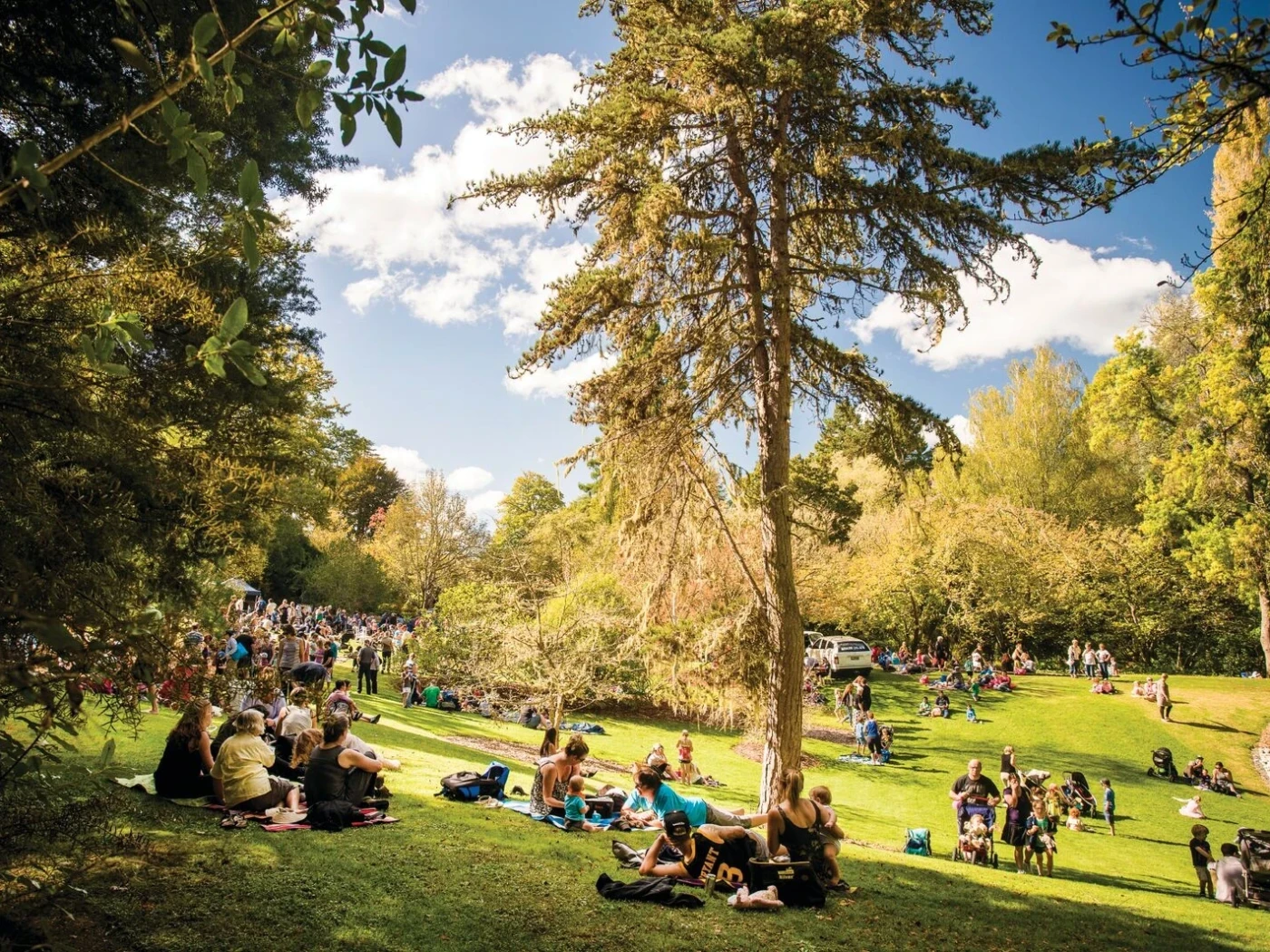 Families enjoying an event day on the lawn at Eastwoodhill Arboretum near Gisborne surrounded by towering trees