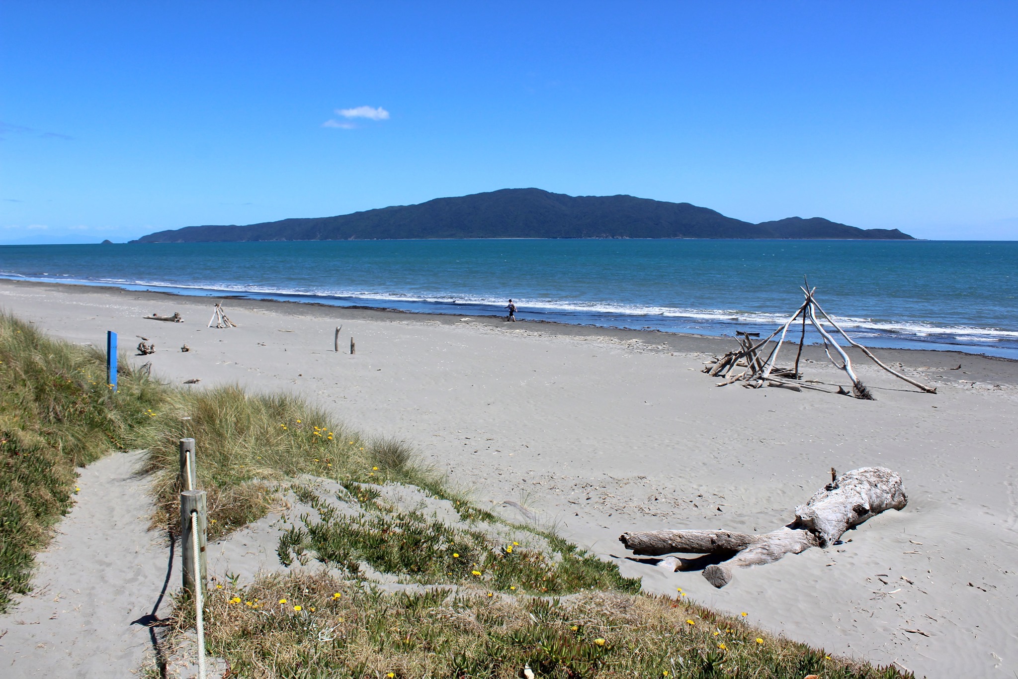 Waikanae Beach with driftwood and headland views family-friendly beach in Gisborne